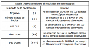 Lamina info